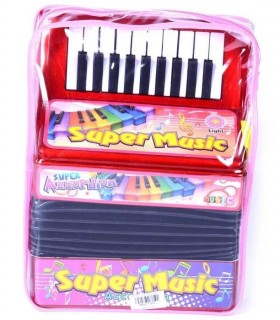 ACORDEON CU BATERIE IN RUCSAC 1