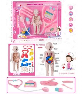 SET DOCTOR ANATOMIA OMULUI 1
