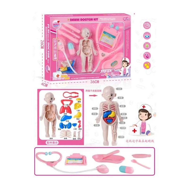 SET DOCTOR ANATOMIA OMULUI 1