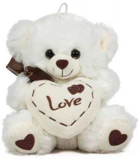 URSULEȚ DE PLUȘ CU INIMĂ 2 CULORI 20 CM 1